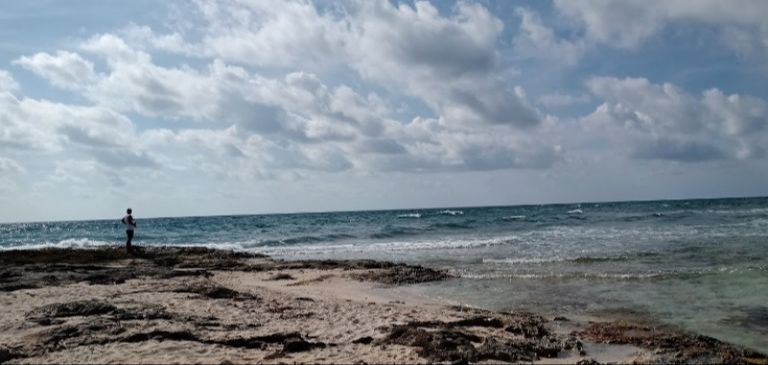 Cierran puerto y suspenden actividades de Punta Brava a Punta Allen.