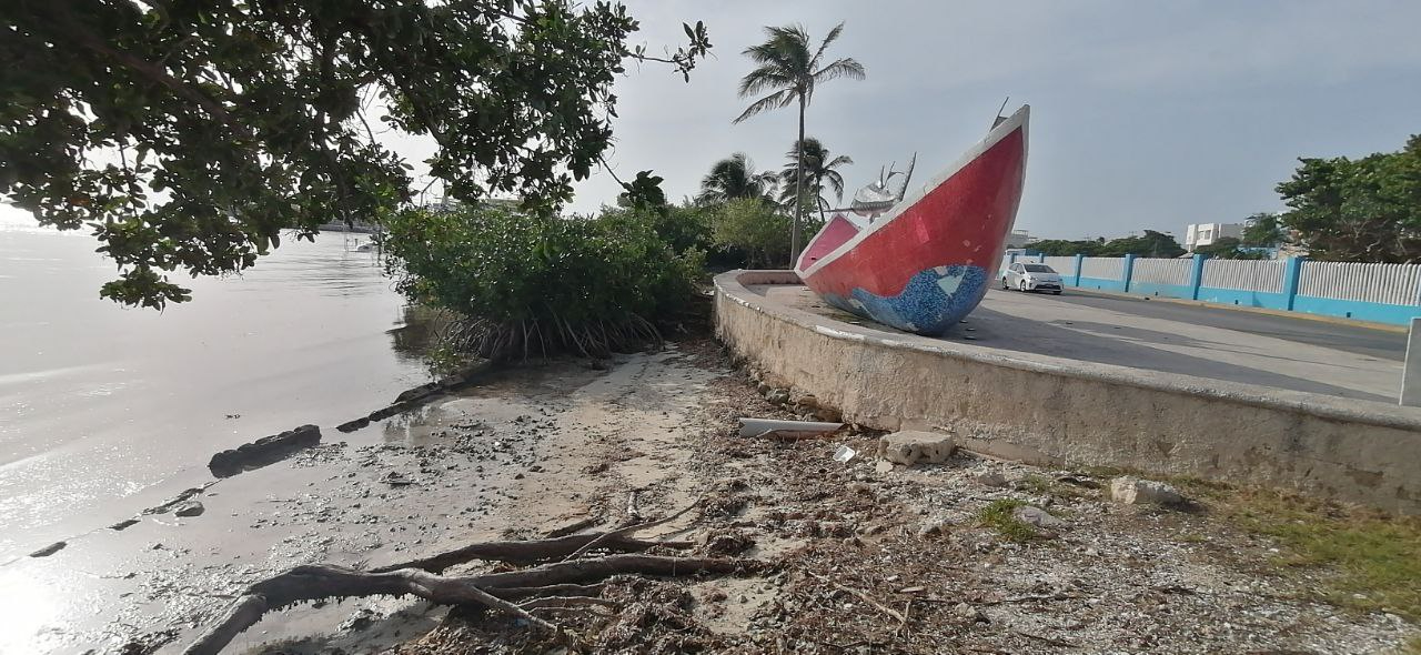 Ya no hay plantas nativas que contengan las olas Ya no hay plantas nativas que contengan las olas