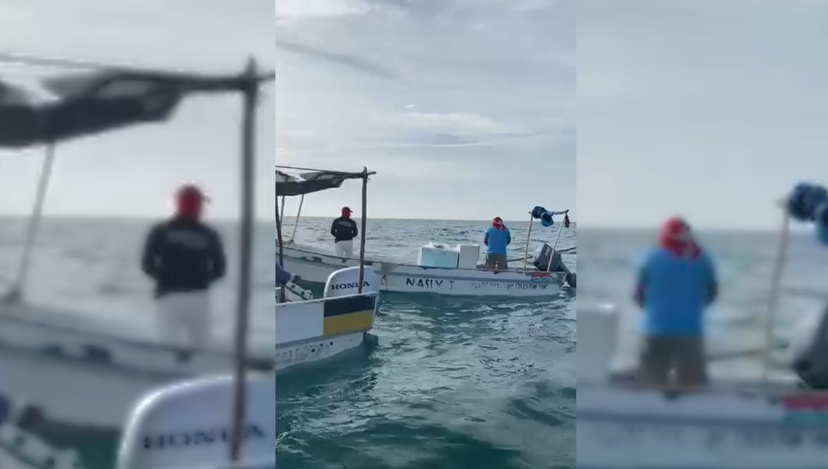 Detectan a pescadores furtivos  cerca de Celestún, Yucatán