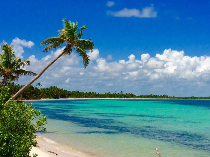 Punta Allen es un verdadero tesoro escondido en la Riviera Maya de Quintana Roo Punta Allen es un verdadero tesoro escondido en la Riviera Maya de Quintana Roo