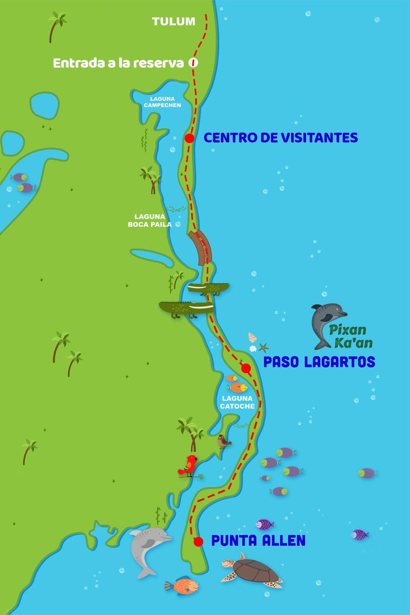Llegar a Punta Allen no es nada fácil, y la ruta más cercana es desde Tulum Llegar a Punta Allen no es nada fácil, y la ruta más cercana es desde Tulum
