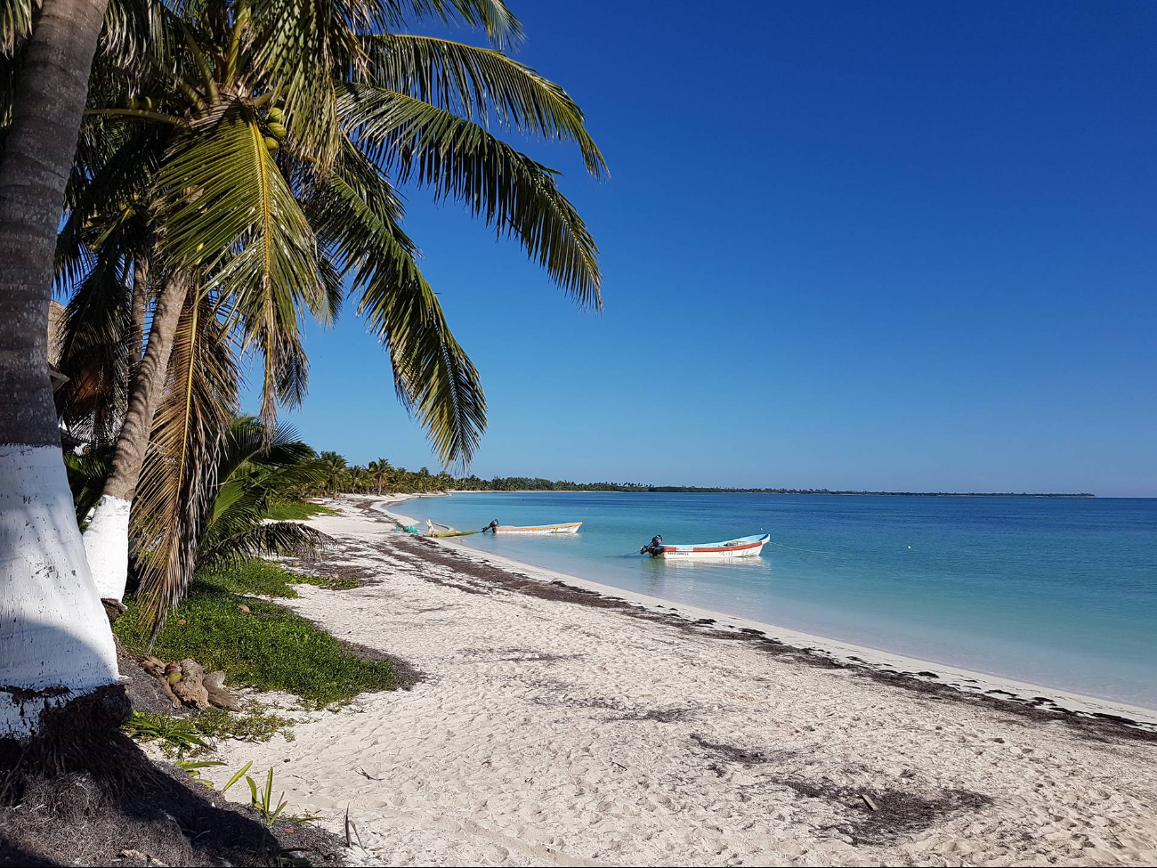 Punta Allen es un punto turístico, el cual no todos pueden visitar por su localización, pero ofrece un verdadero paraíso natural Punta Allen es un punto turístico, el cual no todos pueden visitar por su localización, pero ofrece un verdadero paraíso natural