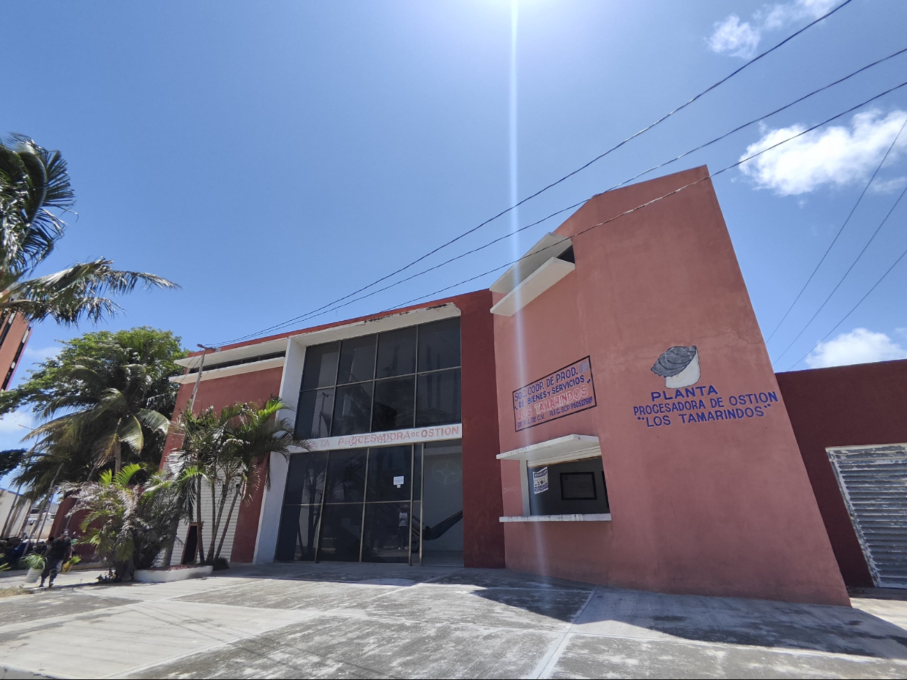 Ostioneros de Ciudad del Carmen acusan corrupción en Conapesca  