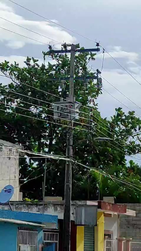 Vecinos de Escárcega llevan 3 días sin luz por transformador dañado: VIDEO