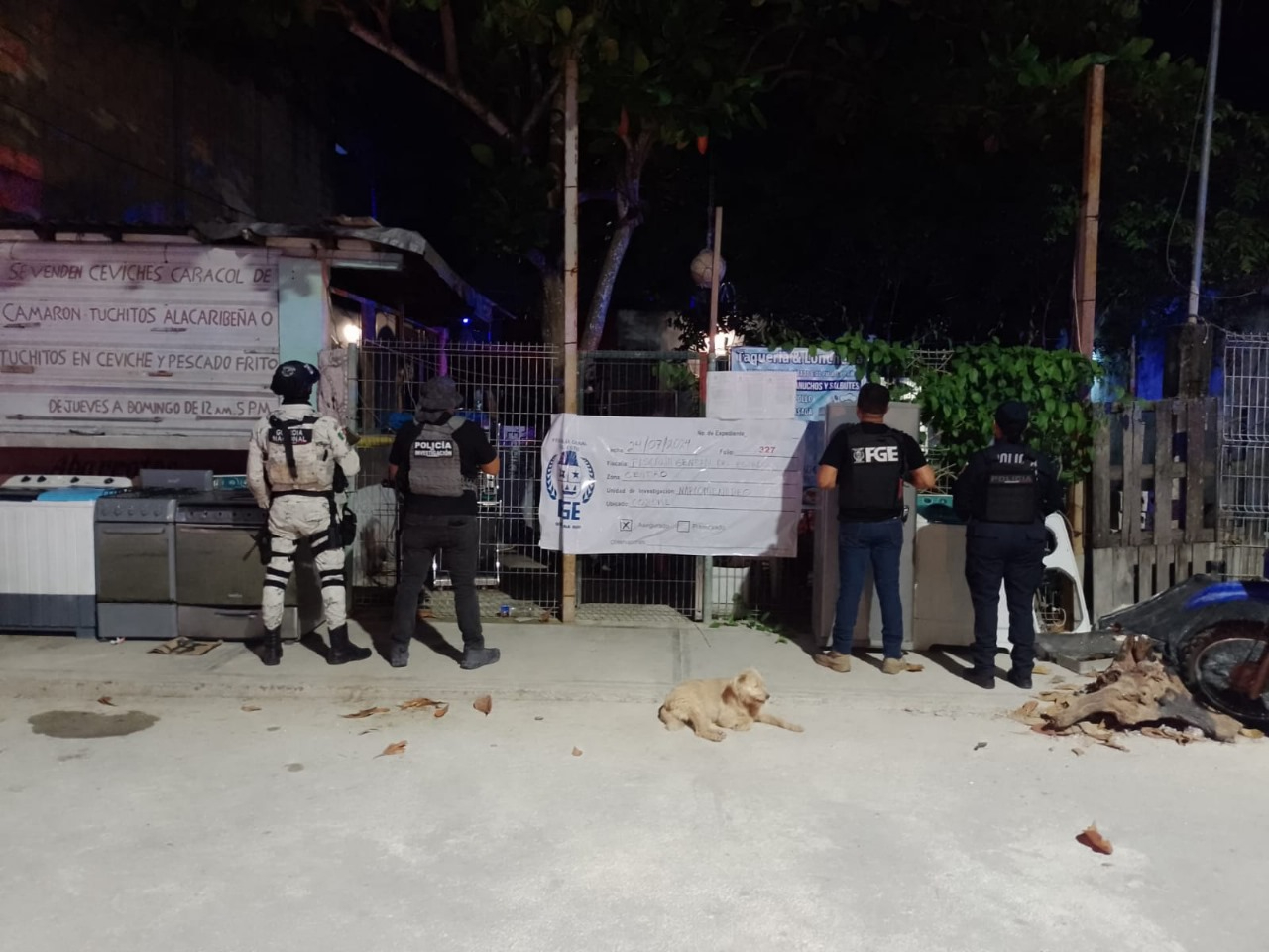 Fueron dos predios cateados en Cozumel y Chetumal Fueron dos predios cateados en Cozumel y Chetumal