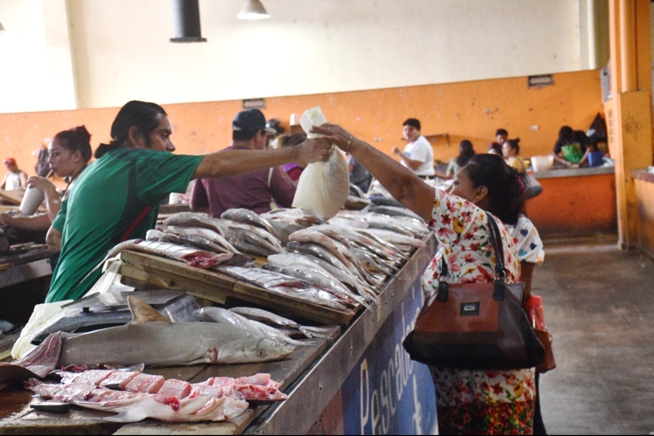 Aseguran que antes hacían despensa con 500 pesos Aseguran que antes hacían despensa con 500 pesos