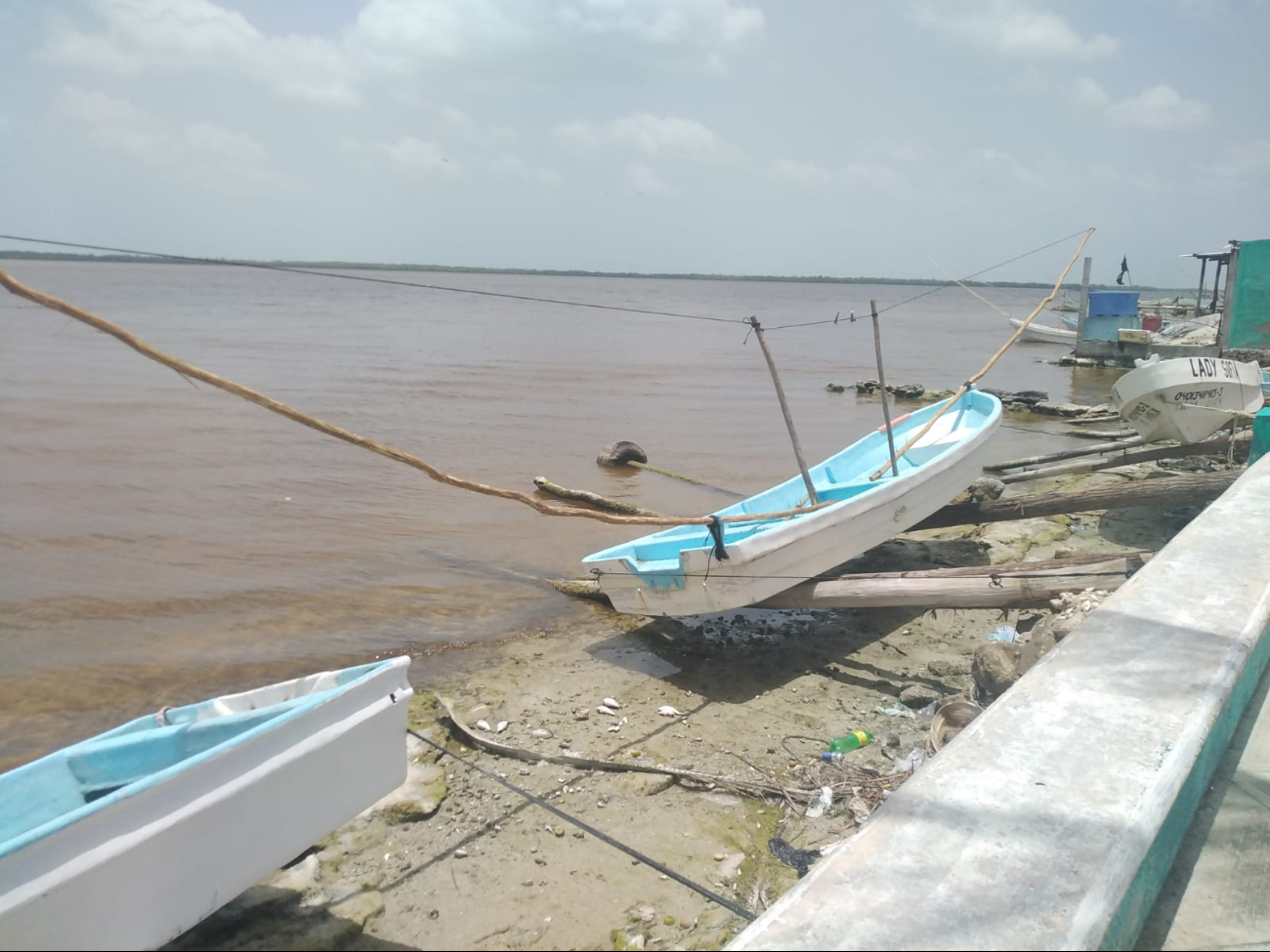 Joaquín Sánchez May, pescador, menciona que esperan capturas de alrededor de 30 kilos por lancha. Joaquín Sánchez May, pescador, menciona que esperan capturas de alrededor de 30 kilos por lancha.