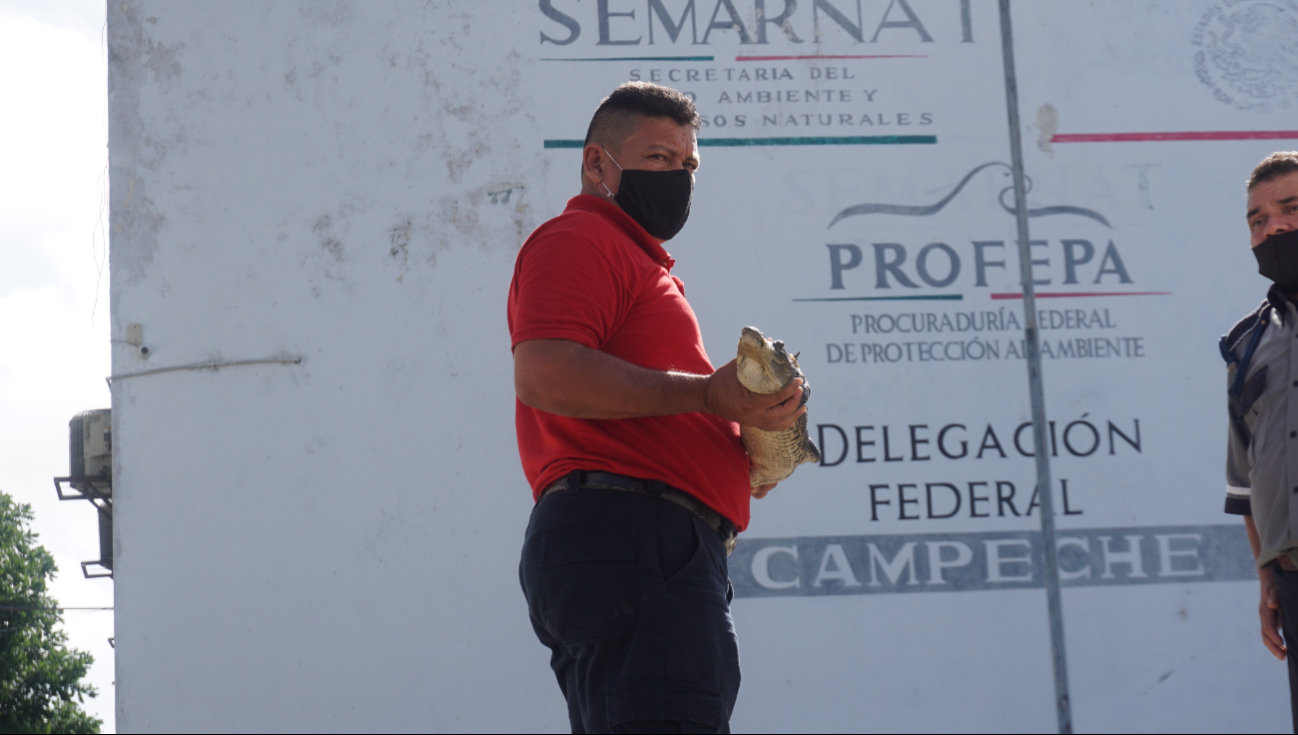 Podrían salir más en las avenidas o calles de la capital del Estado ya que buscan sitios secos: Semabicce Podrían salir más en las avenidas o calles de la capital del Estado ya que buscan sitios secos: Semabicce