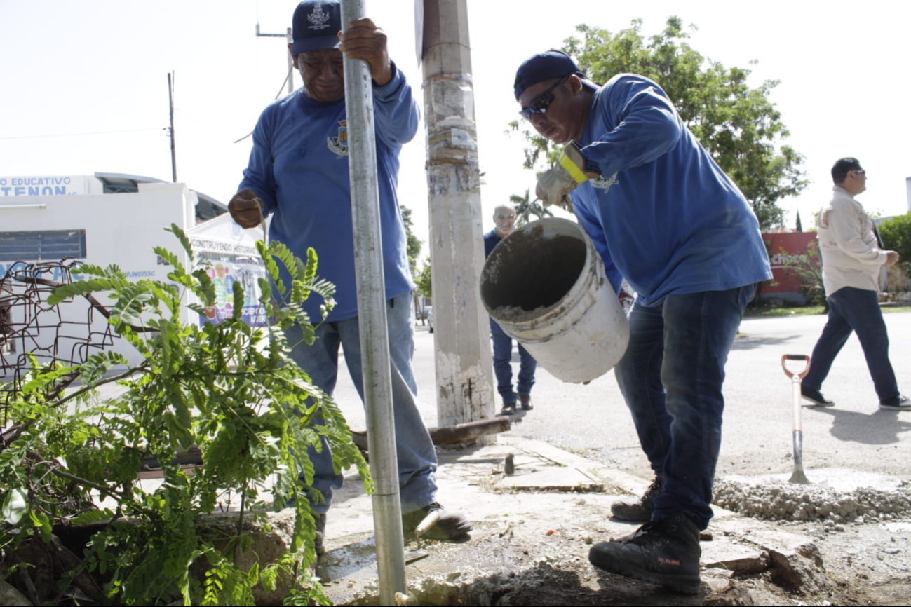 Se trabaja en retirar ramas y árboles que ponen en peligro a la comunidad Se trabaja en retirar ramas y árboles que ponen en peligro a la comunidad
