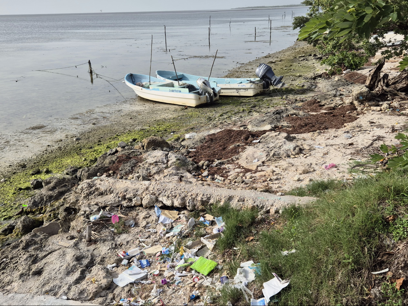 Zona costera de Champotón, convertida en "basurero" municipal