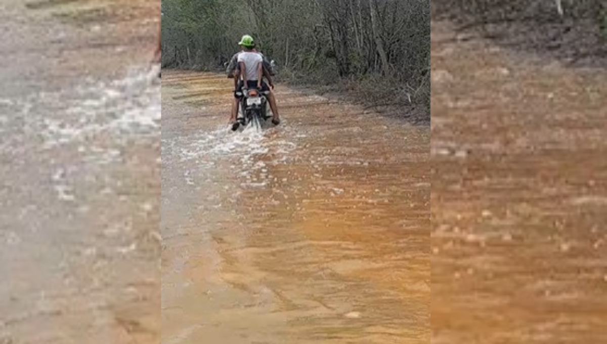 Los habitantes demandan insumos agrícolas y la reconstrucción de caminos sacacosechas. Los habitantes demandan insumos agrícolas y la reconstrucción de caminos sacacosechas.