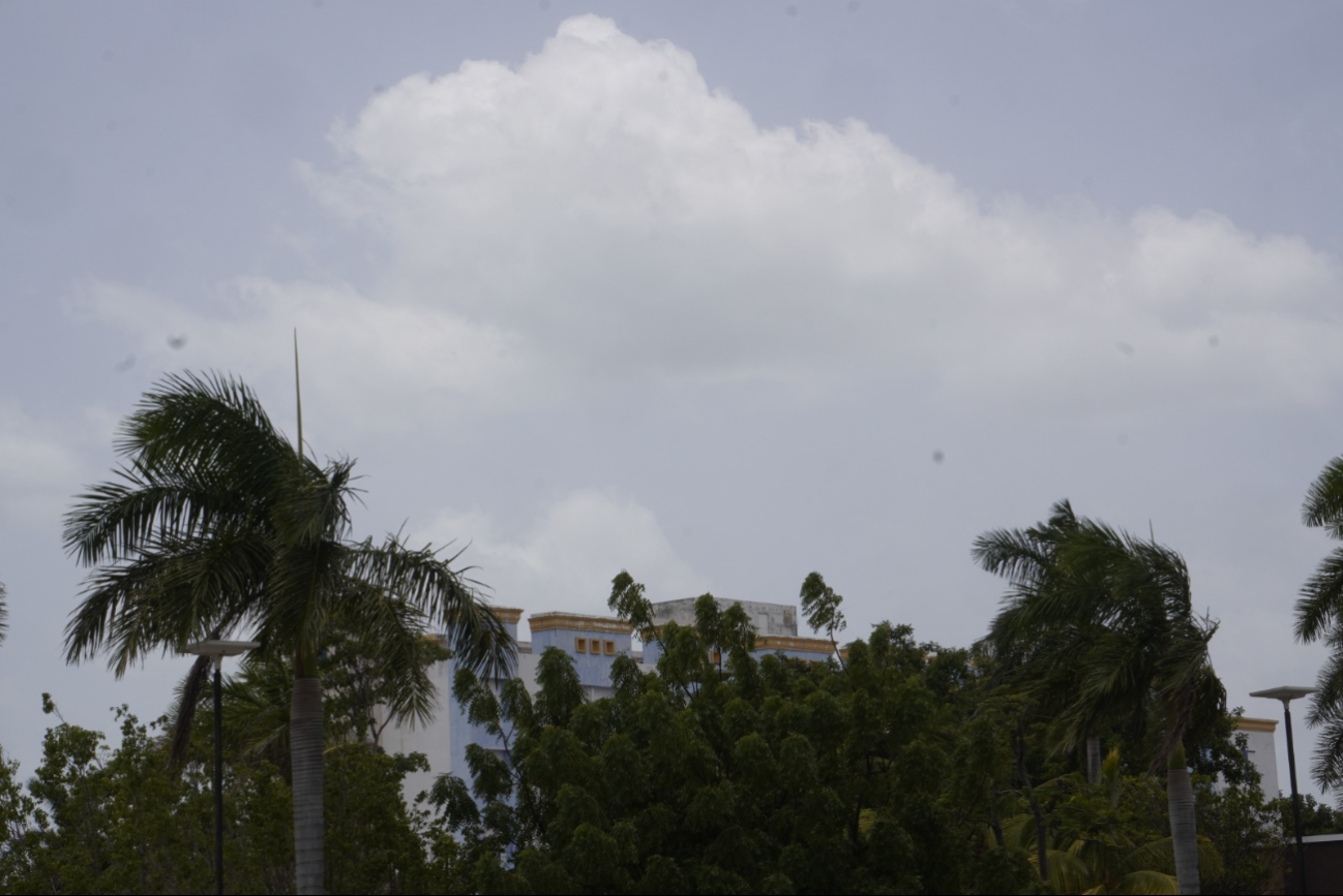 No se esperan altas concentraciones de polvo del Sahara en Campeche, por lo que no representa un peligro mayor para la población. No se esperan altas concentraciones de polvo del Sahara en Campeche, por lo que no representa un peligro mayor para la población.