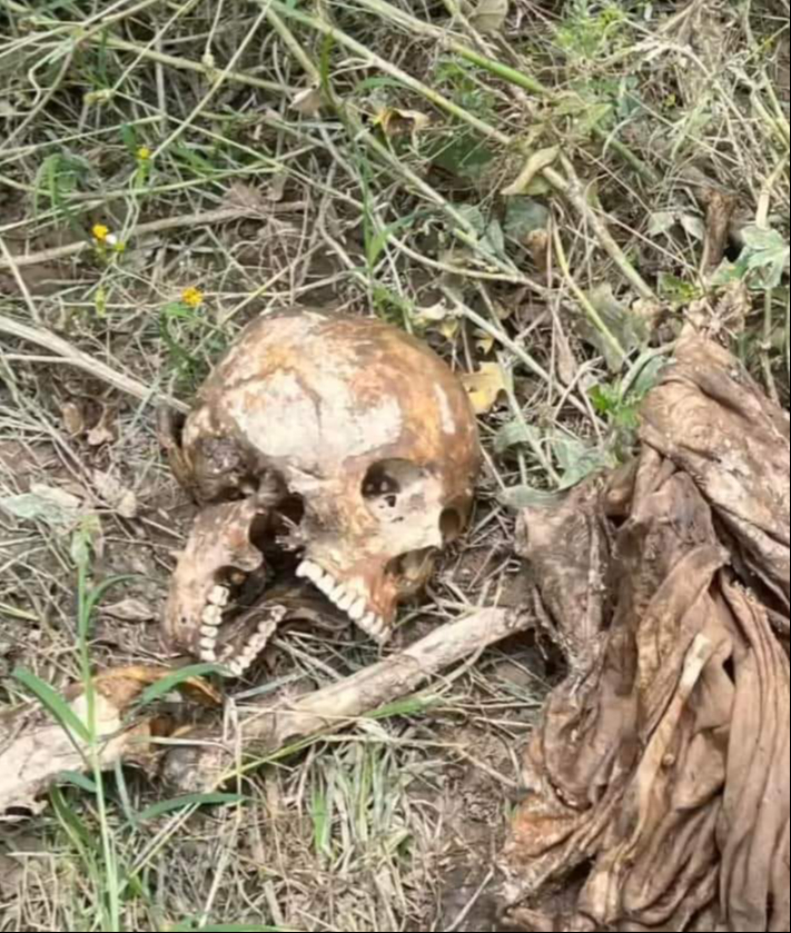 Osamenta localizada en Escárcega Osamenta localizada en Escárcega