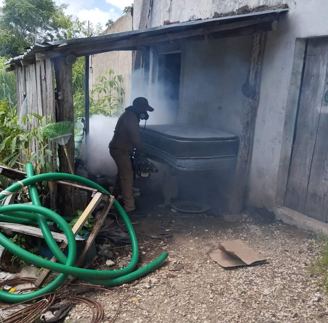 En Pomuch exigen acciones para prevenir el dengue En Pomuch exigen acciones para prevenir el dengue