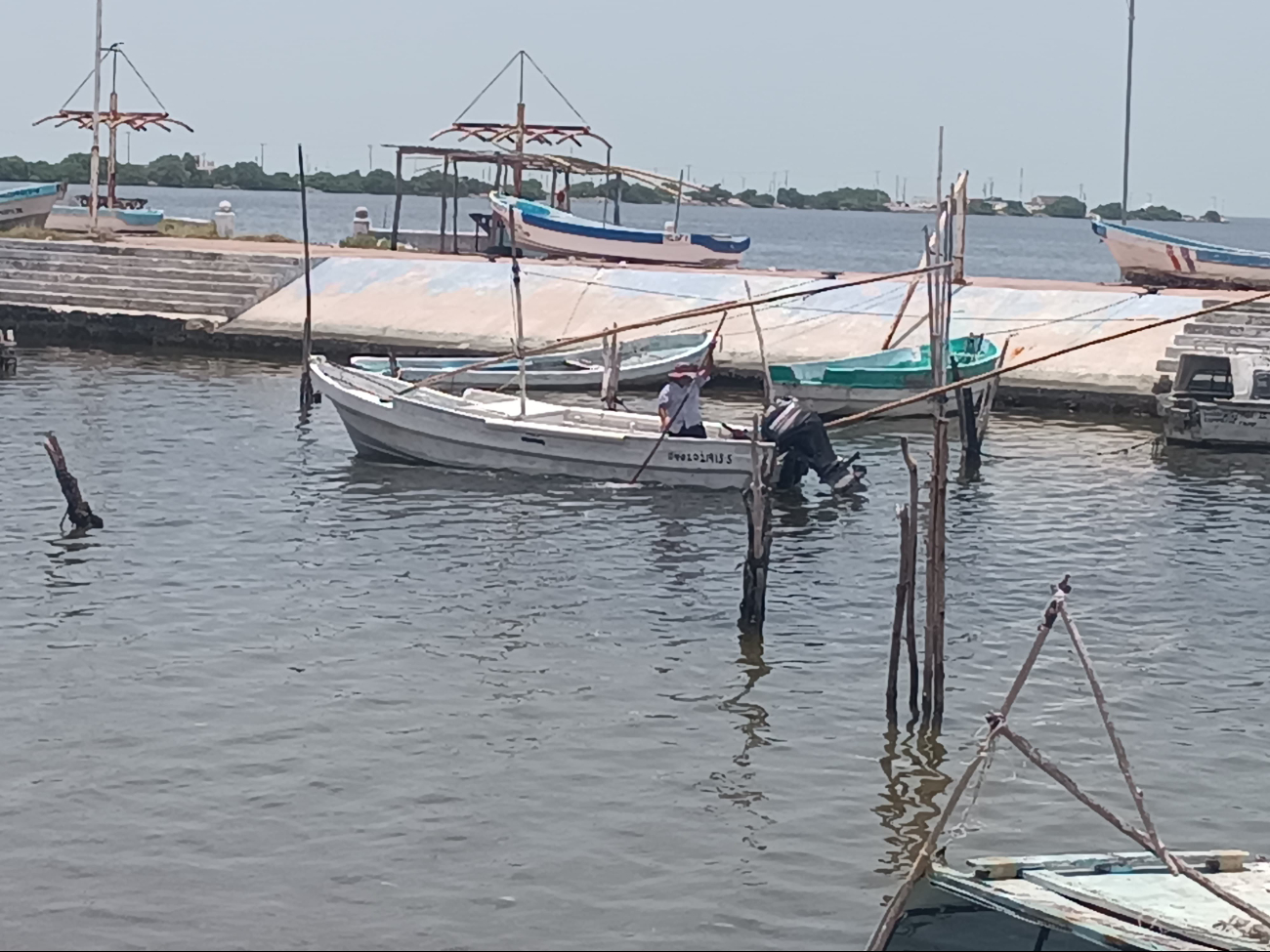 Temporada de pulpo no da esperanza a pescadores de Campeche 