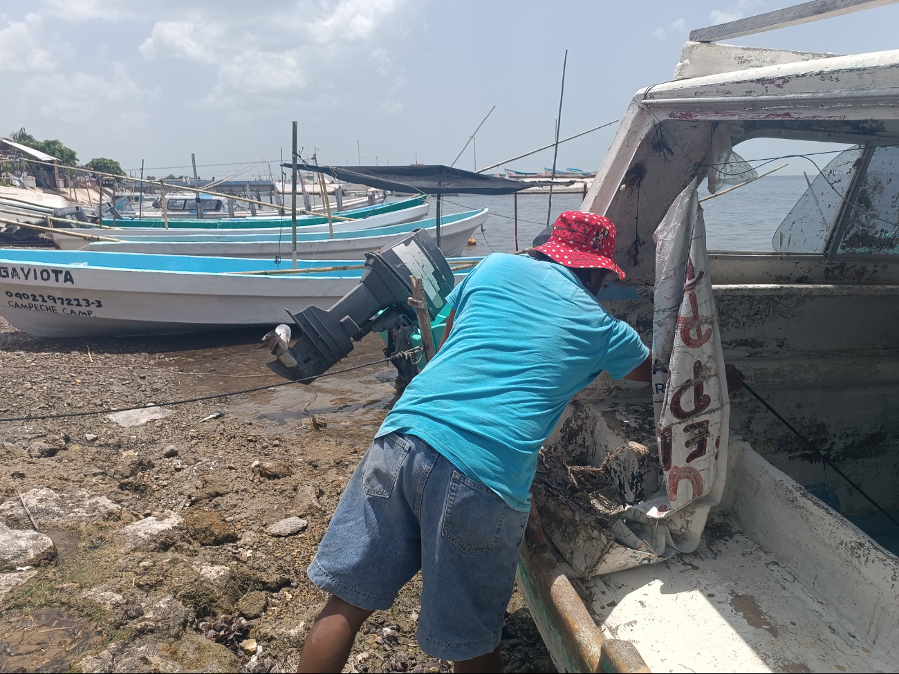 Poca esperanza en inicio de temporada de captura de pulpo 2024 Poca esperanza en inicio de temporada de captura de pulpo 2024