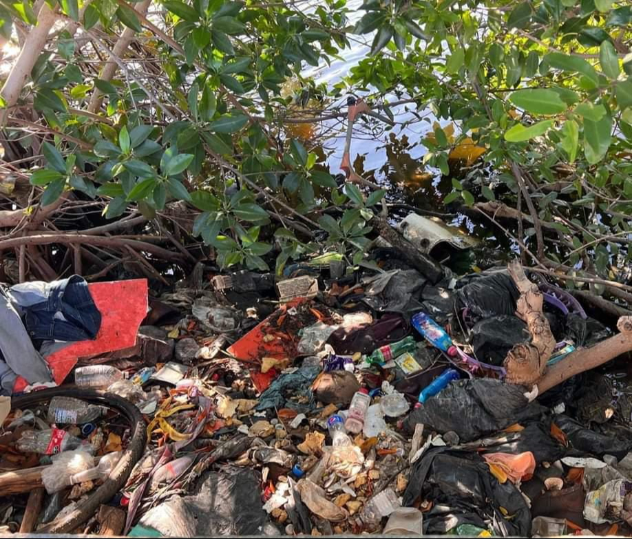 Ausencia prolongada de autoridades ambientales como Profepa, Conanp y Semarnat en Carmen. Ausencia prolongada de autoridades ambientales como Profepa, Conanp y Semarnat en Carmen.