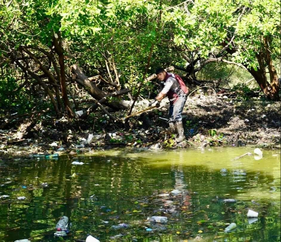   Ciudad del Carmen: Denuncian ecocidio en Laguna de Términos por desidia de autoridades   