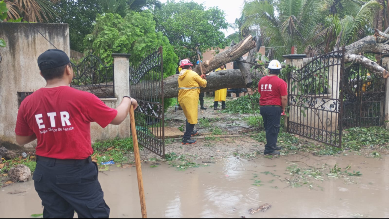 Tormenta Tropical Beryl deja ola de destrucción en Motul, Yucatán