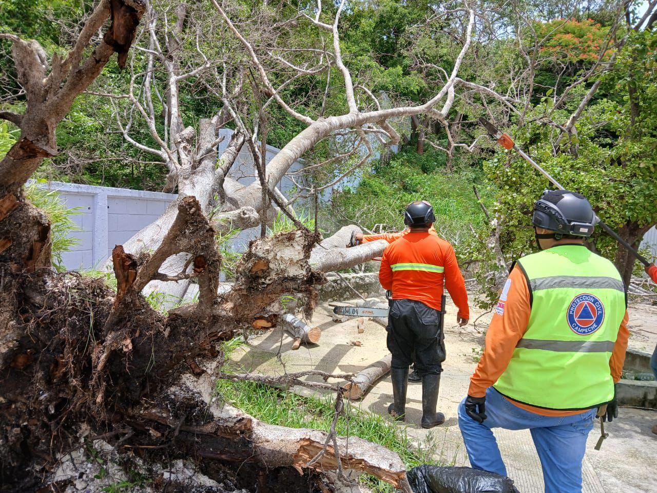Servicio de agua potable suspendido y reportes de árboles caídos debido a fuertes vientos. Servicio de agua potable suspendido y reportes de árboles caídos debido a fuertes vientos.