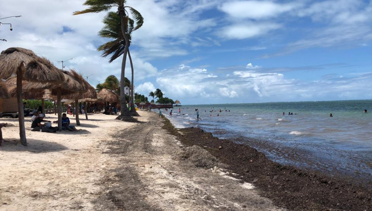 Así luce Playa del Niño este domingo 7 de julio en Cancún