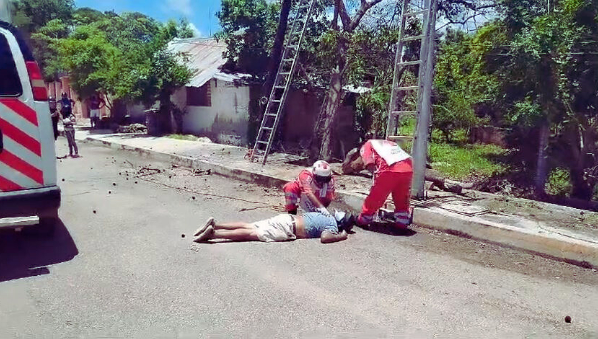 Muere adulto mayor al electrocutarse mientras podaba un árbol en Calkiní