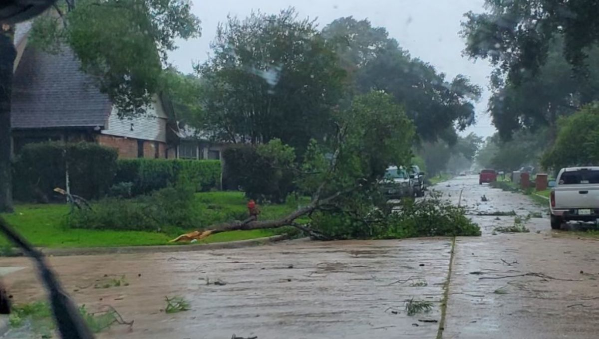 El Huracán Beryl a su paso por Texas, provocó la muerte de un hombre de 53 años de edad El Huracán Beryl a su paso por Texas, provocó la muerte de un hombre de 53 años de edad