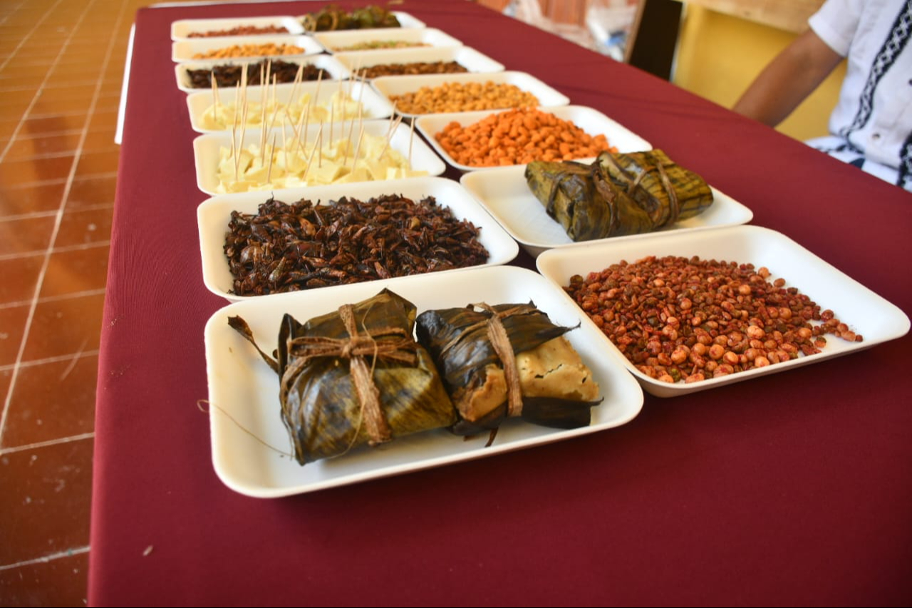 El evento incluirá exposiciones culturales y gastronómicas, y presentaciones artísticas de bailes y música oaxaqueña. El evento incluirá exposiciones culturales y gastronómicas, y presentaciones artísticas de bailes y música oaxaqueña.