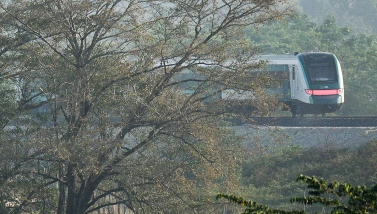 ¿En qué sedes del Tren Maya aplicará esta medida?