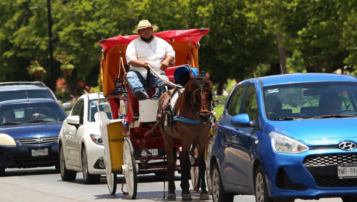 Las calesas de Mérida suman una nueva polémica Las calesas de Mérida suman una nueva polémica