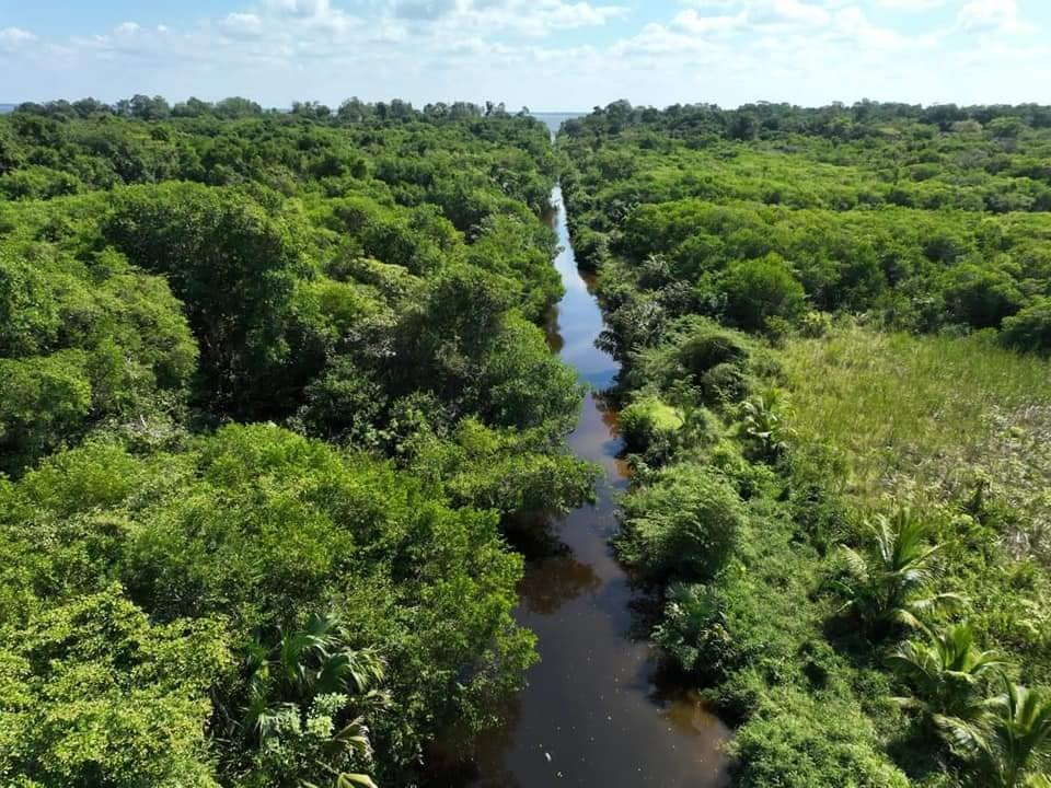 Los encargados del documento colocan al relleno sanitario bajo la CONANP. Los encargados del documento colocan al relleno sanitario bajo la CONANP.