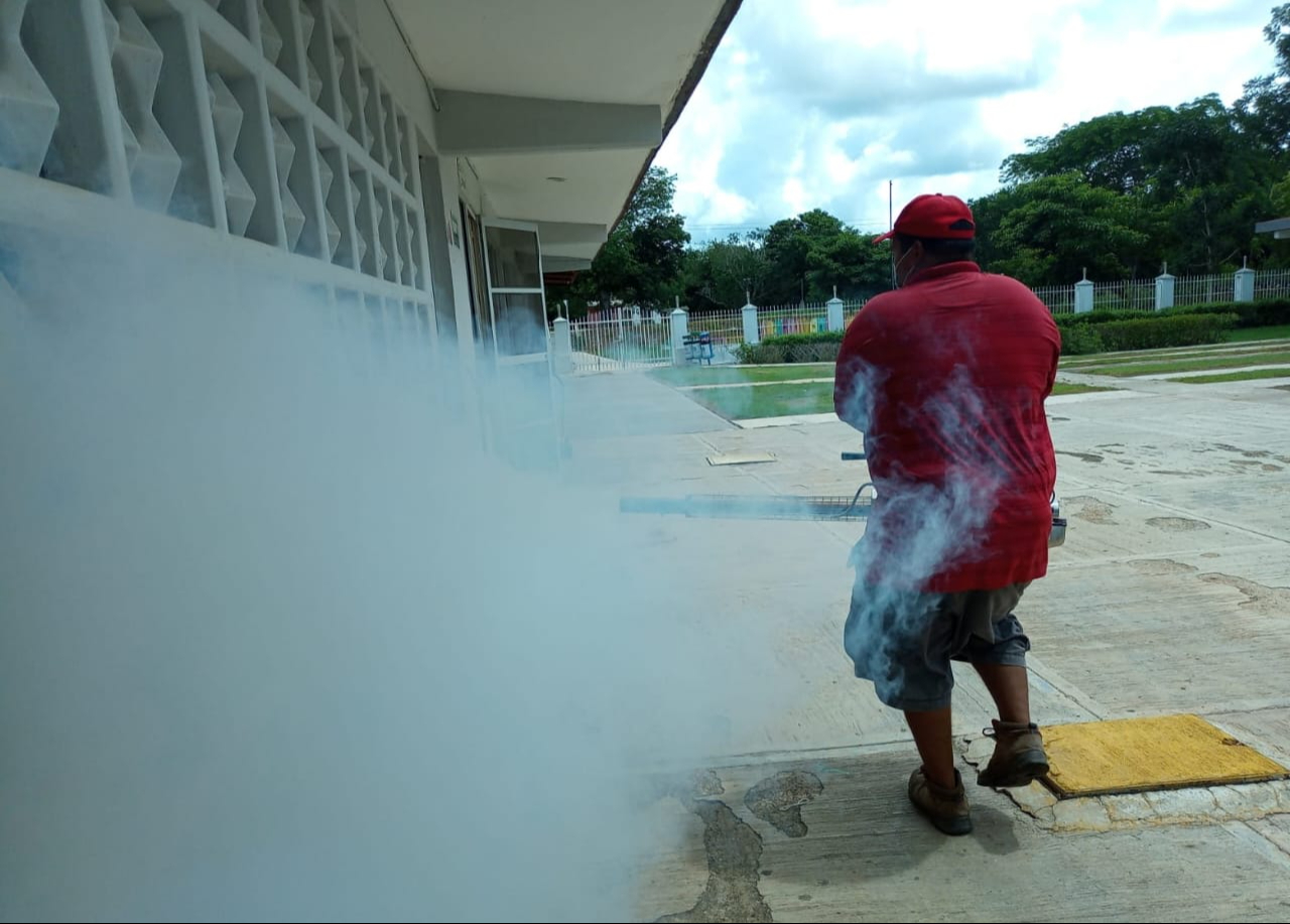 El dengue afecta más a los jóvenes que a los adultos, a diferencia del Covid-19. El dengue afecta más a los jóvenes que a los adultos, a diferencia del Covid-19.