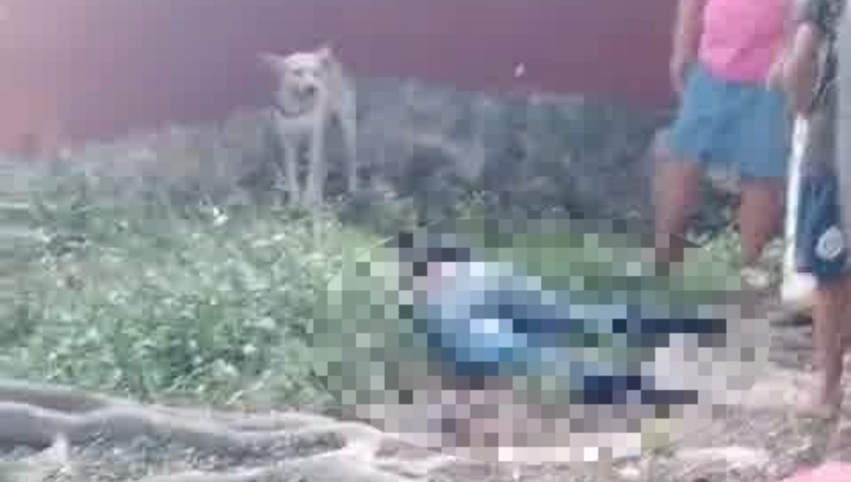 Así sucedió el ataque armado en Lázaro Cárdenas, Quintana Roo Así sucedió el ataque armado en Lázaro Cárdenas, Quintana Roo