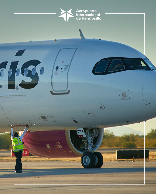 Los restos fueron localizados dentro de un avión de Volaris Los restos fueron localizados dentro de un avión de Volaris
