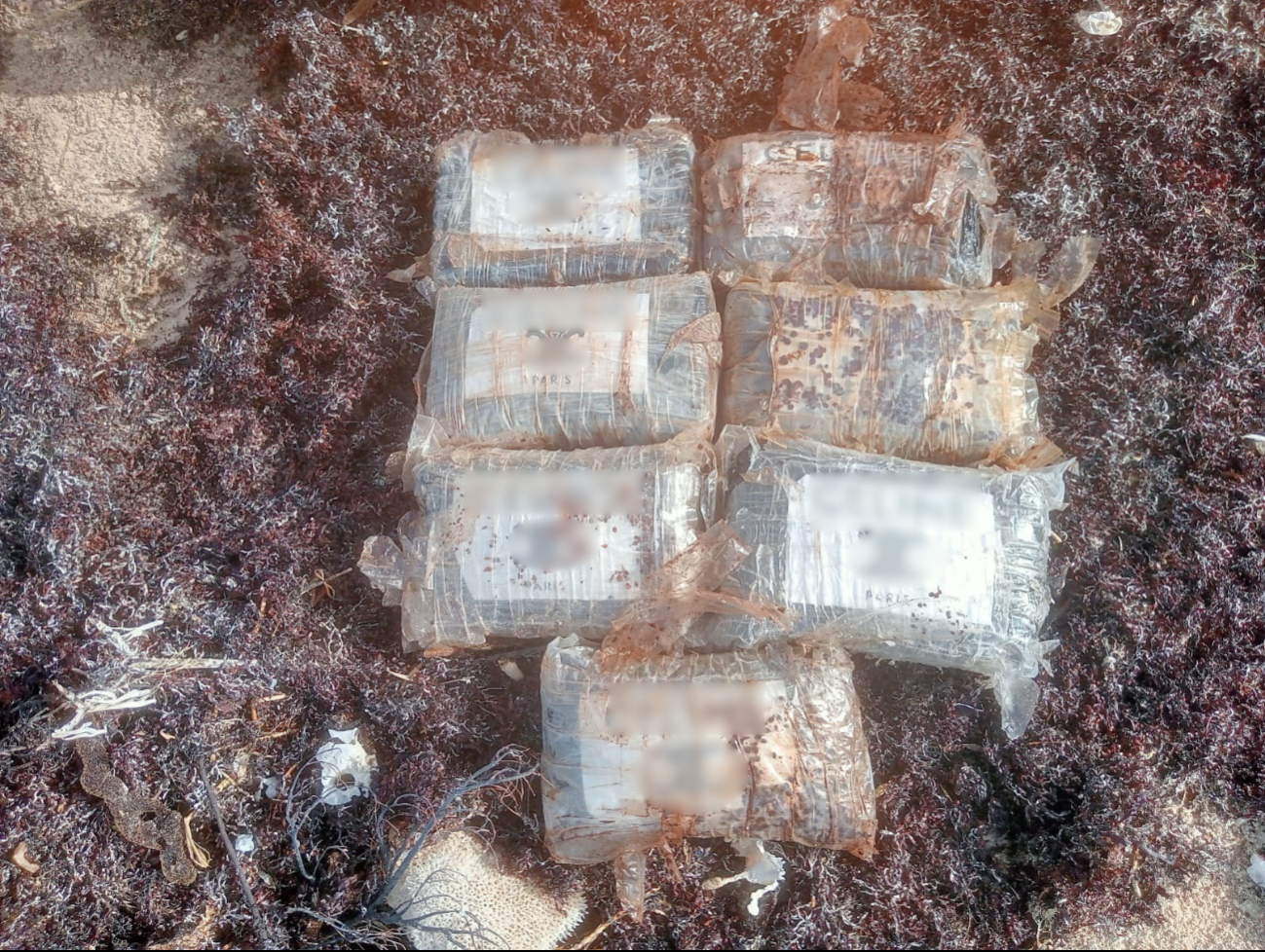 Paquetes restantes de presunta cocaína localizados en Cozumel Paquetes restantes de presunta cocaína localizados en Cozumel