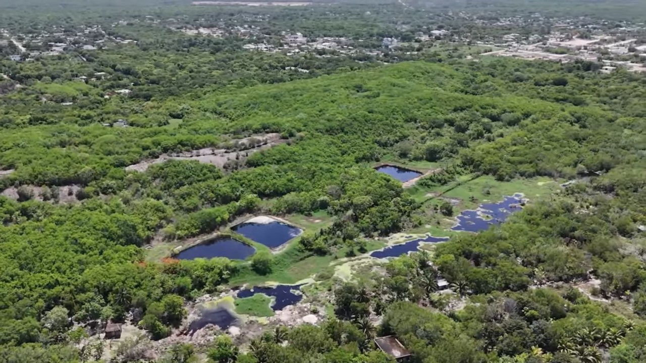 Reúnen más de siete mil firmas para salvar del ecocidio a la laguna Chacmuchuch en Quintana Roo