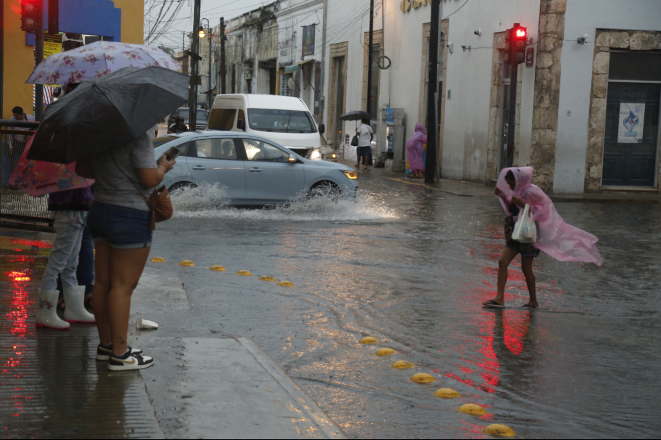 Clima en Yucatán 16 de agosto: Se prevén chubascos durante este viernes