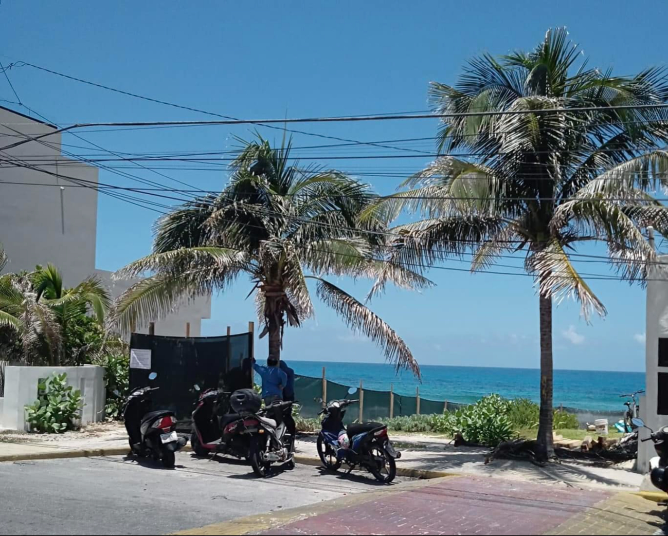 Se tiene contemplado 26 puertas al océano en Isla Mujeres, pero 10 ya han sido acaparadas por particulares