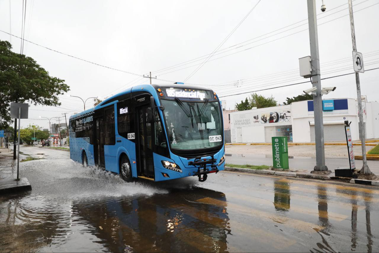 Serán 17 unidades de Va y Ven que comenzarán a operar Serán 17 unidades de Va y Ven que comenzarán a operar