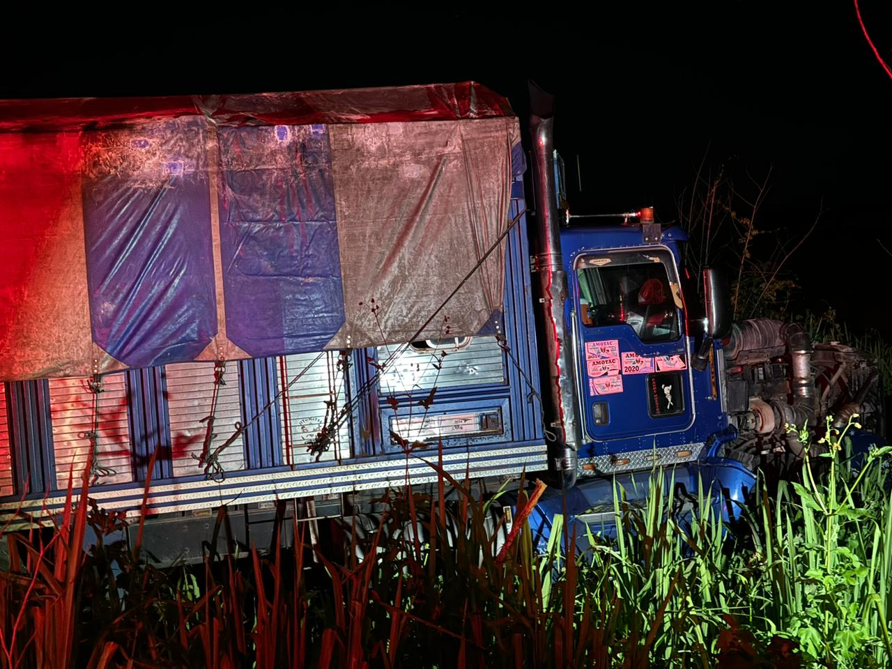 El torton acabó sobre la maleza en la carretera El torton acabó sobre la maleza en la carretera