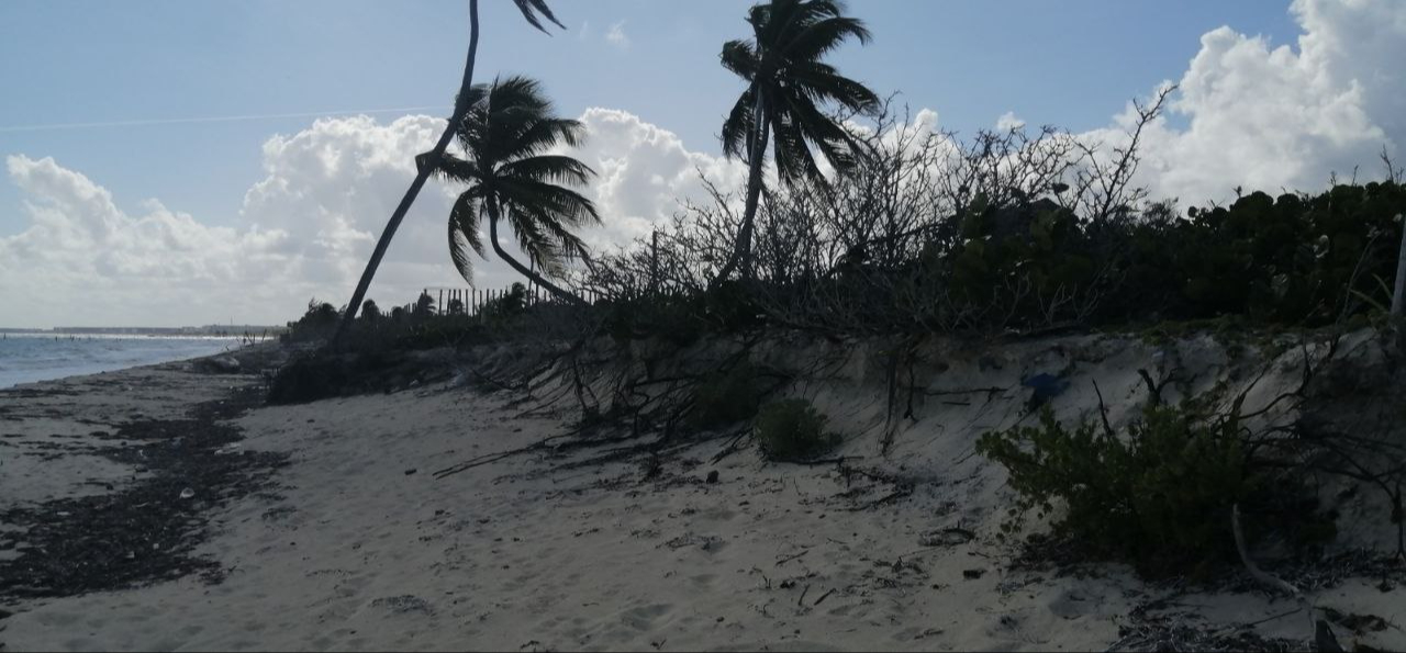 En la Zona Continental, el mar se “comió” hasta 15 metros de arenal. En la Zona Continental, el mar se “comió” hasta 15 metros de arenal.