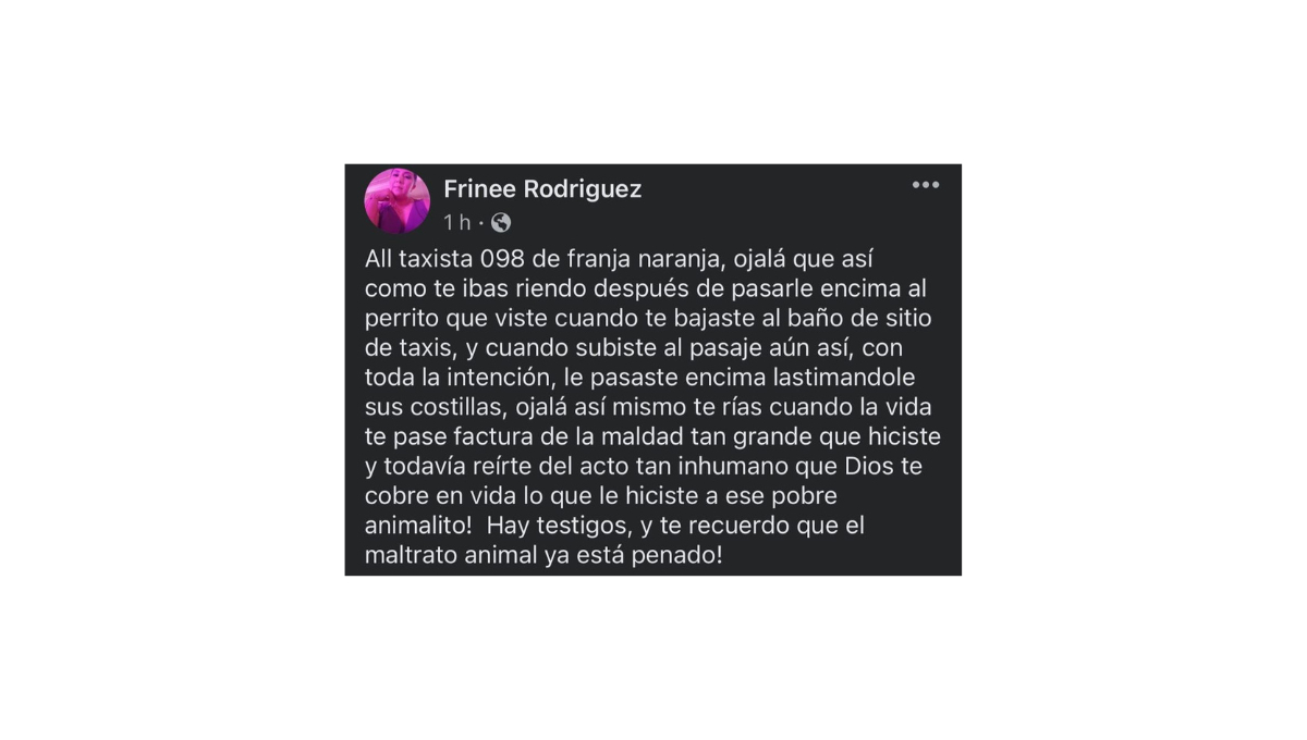 Frinee Rodríguez, quien denunció el incidente, afirmó que el taxista se rió del acto y hay testigos. Frinee Rodríguez, quien denunció el incidente, afirmó que el taxista se rió del acto y hay testigos.