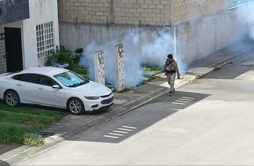La zonas de Villas del Sol y Palmas 1 tienen la mayor prevalencia de contagios de dengue