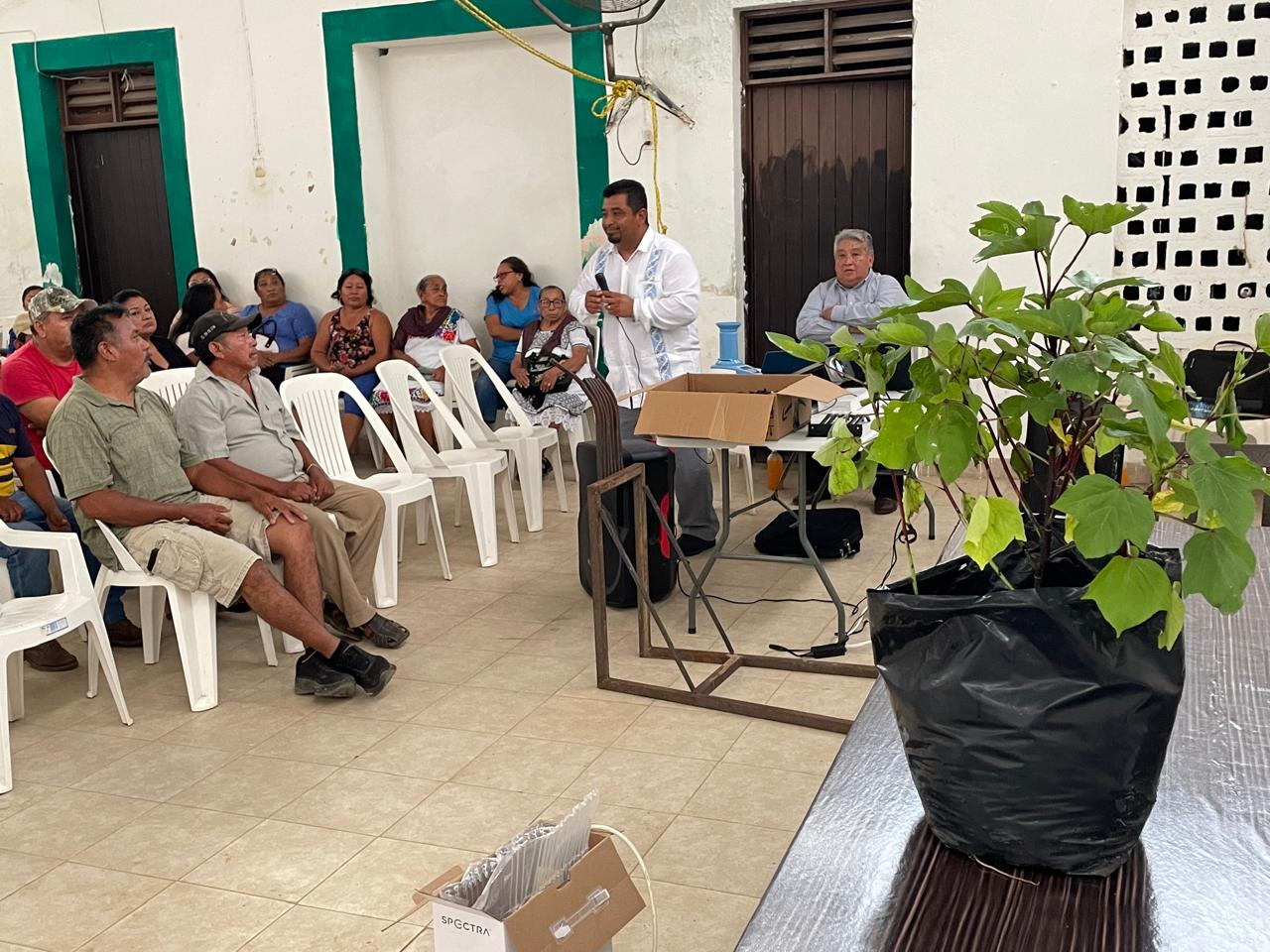 Ejidatarios de Hopelchén fueron adiestrados en la siembra, cosecha, empaque y comercialización de jamaica por Proalmex y la CNC. Ejidatarios de Hopelchén fueron adiestrados en la siembra, cosecha, empaque y comercialización de jamaica por Proalmex y la CNC.