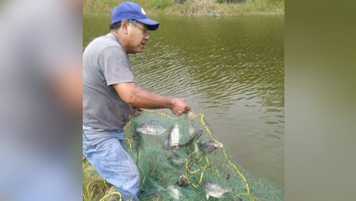 La producción de esta especie era una alternativa económica para los pescadores La producción de esta especie era una alternativa económica para los pescadores