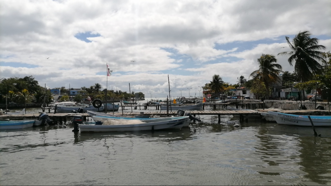 Instituto de Pesca y Acuacultura de Campeche detectó 120 permisionarios  'patito'  