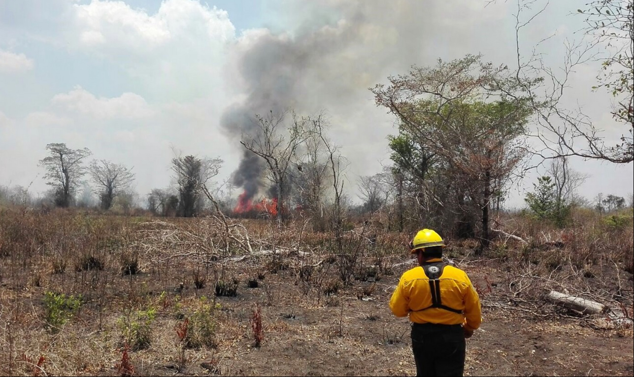 Quemas  agropecuarias    contribuyen al cambio climático:  Desarrollo Agropecuario     Campeche    