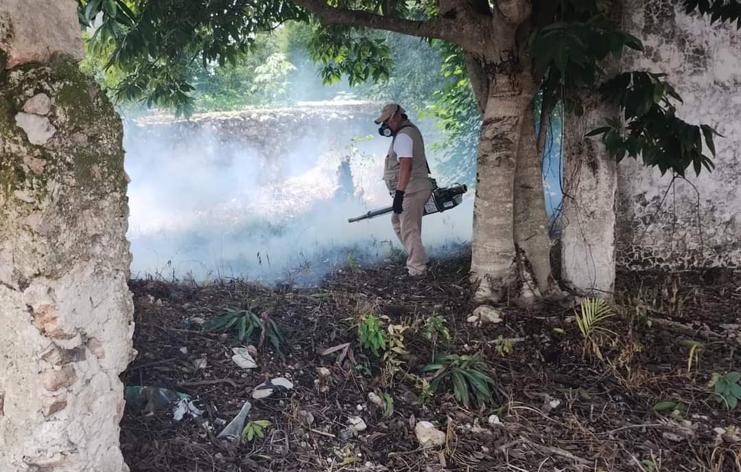 La SSA Campeche también realiza labores de control larvario en todo el Estado. La SSA Campeche también realiza labores de control larvario en todo el Estado.