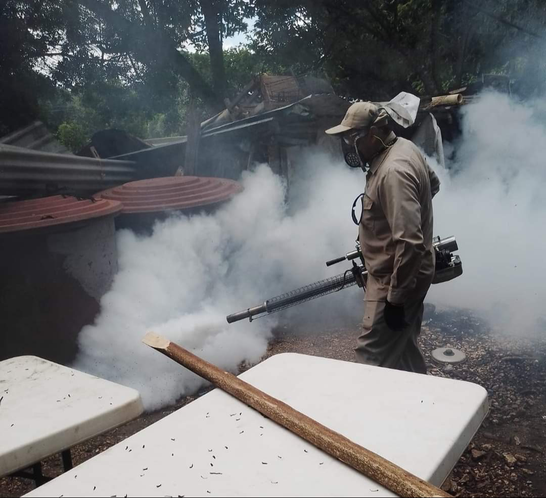 Campeche logra reducir casos de dengue con acciones de prevención