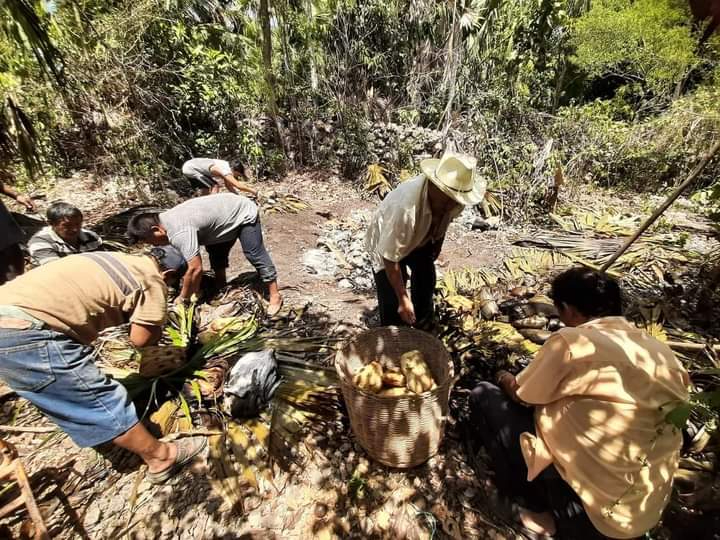 Comunidad indígena de Felipe Carillo Puerto busca rescatar ritual maya